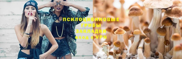 гашик Кулебаки