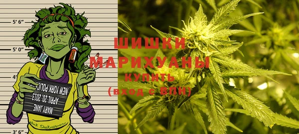 ПСИЛОЦИБИНОВЫЕ ГРИБЫ Куйбышев