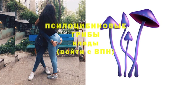 гашик Кулебаки