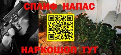 бошки Бийск