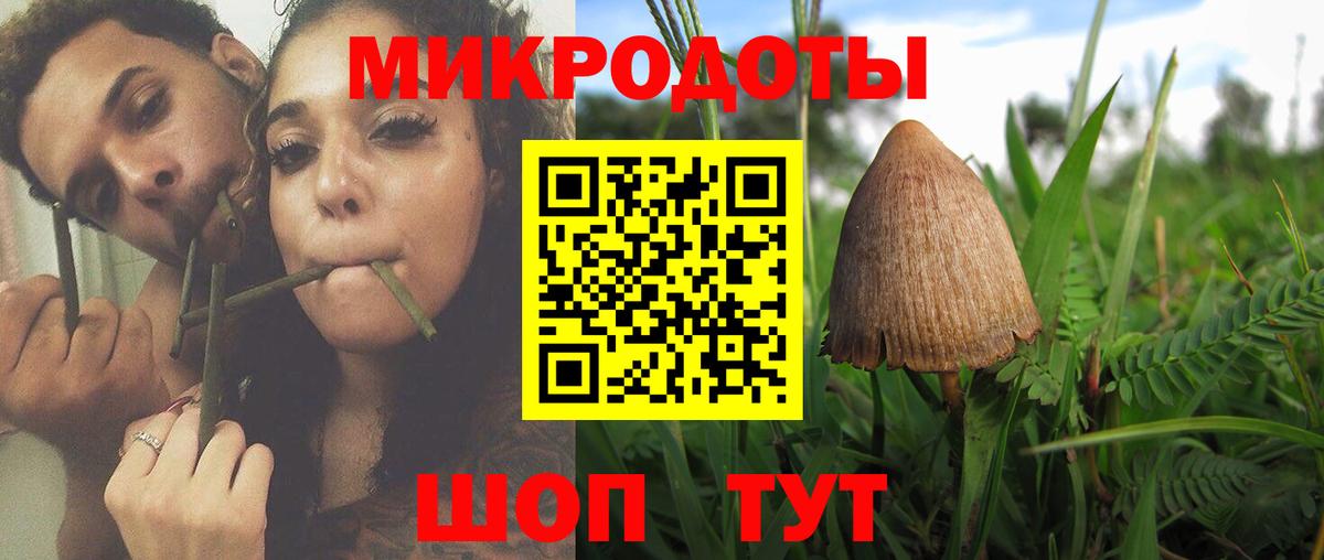 Выкса  Галлюциногенные грибы Magic Shrooms  Вход с VPN 